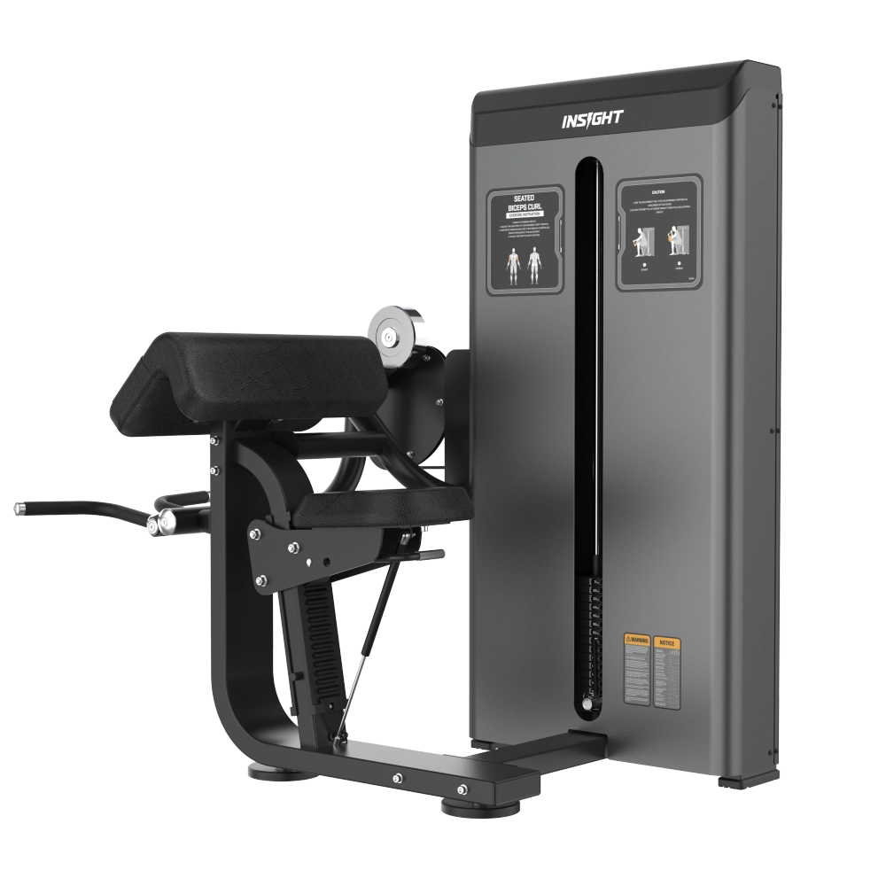 Seated Biceps Curl AE8006 Insight