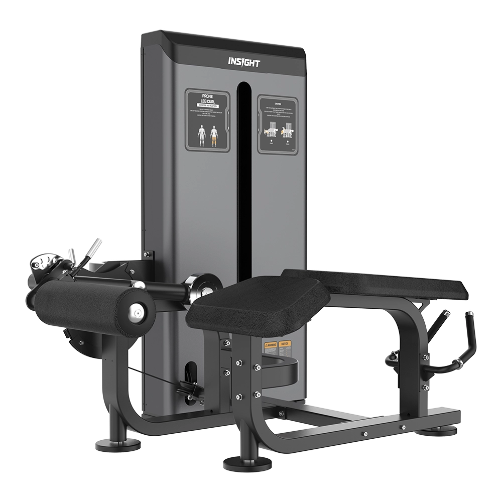 Prone Leg Curl AE8015 Insight