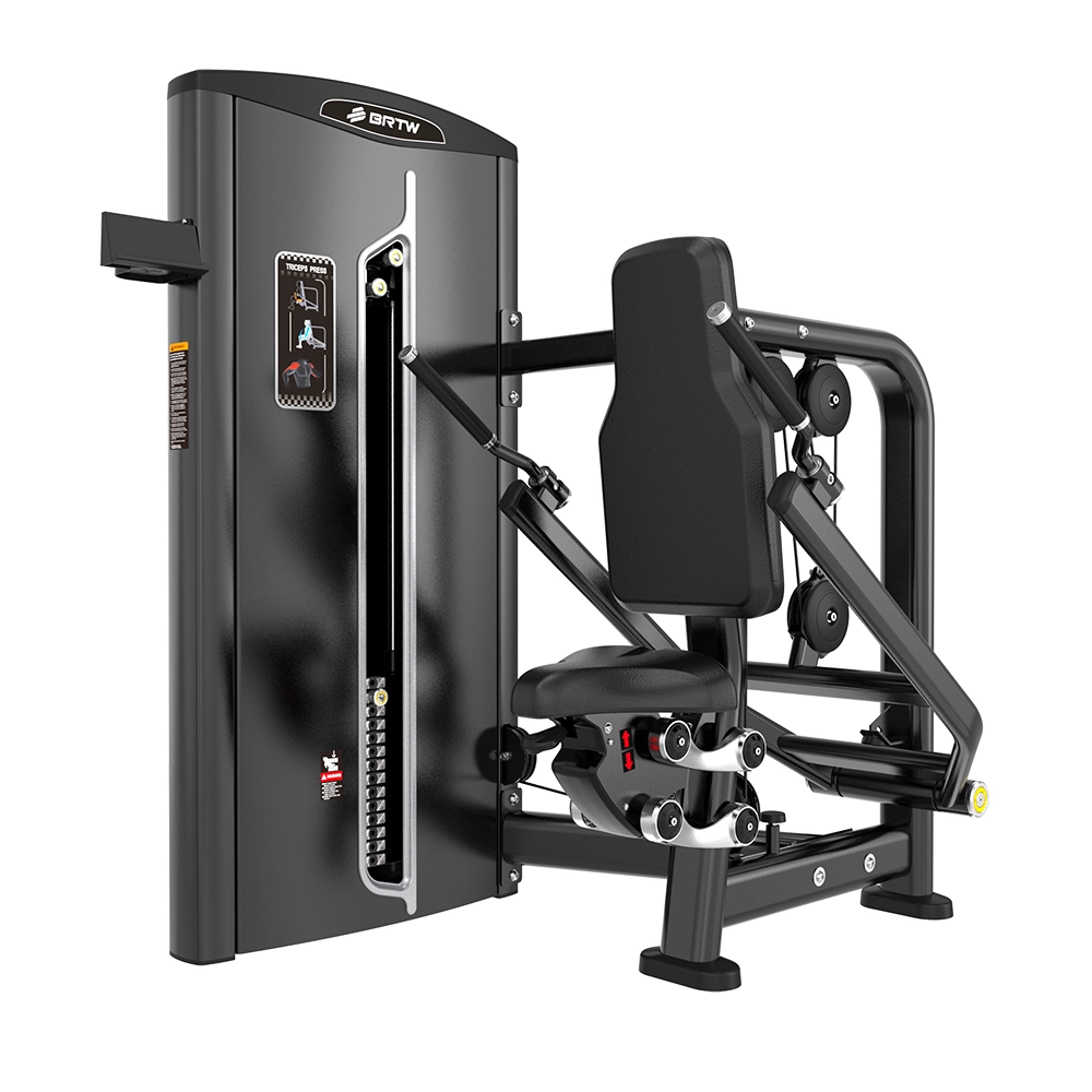 Seated Dip BF06 Brtw