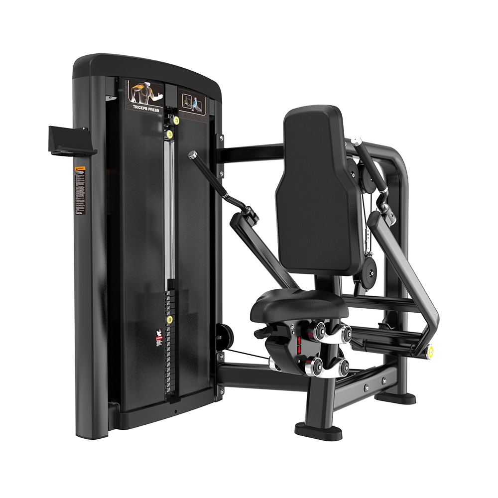 Seated Dip BH06 Brtw