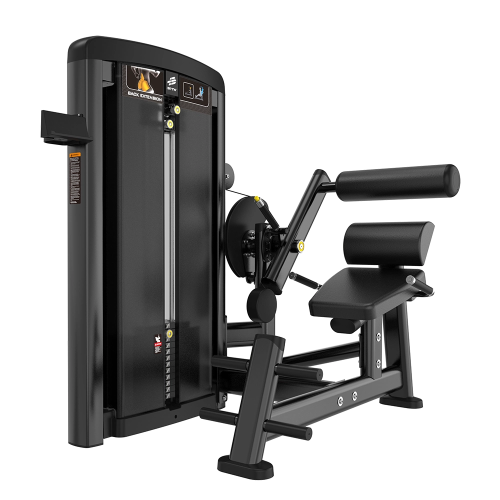 Back Extension BH18 Brtw
