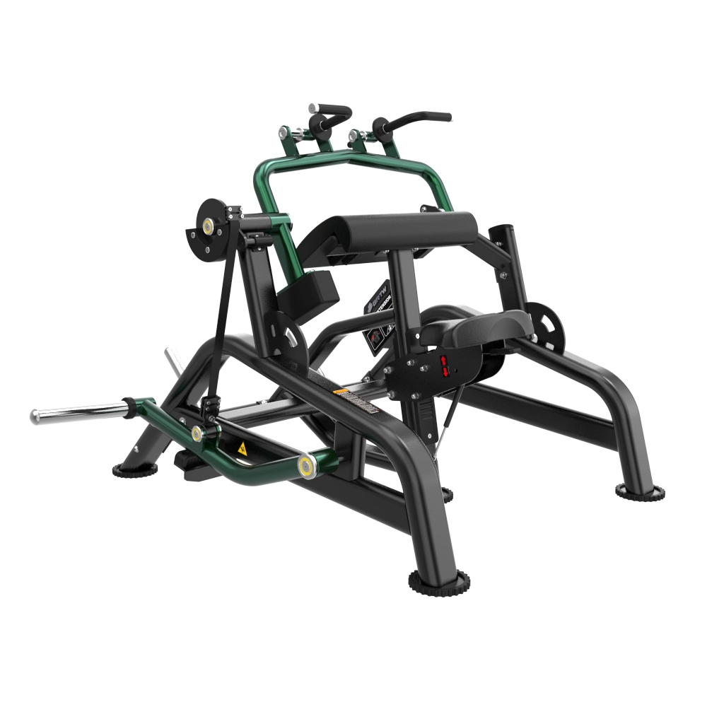 Triceps Extension BL06 Brtw