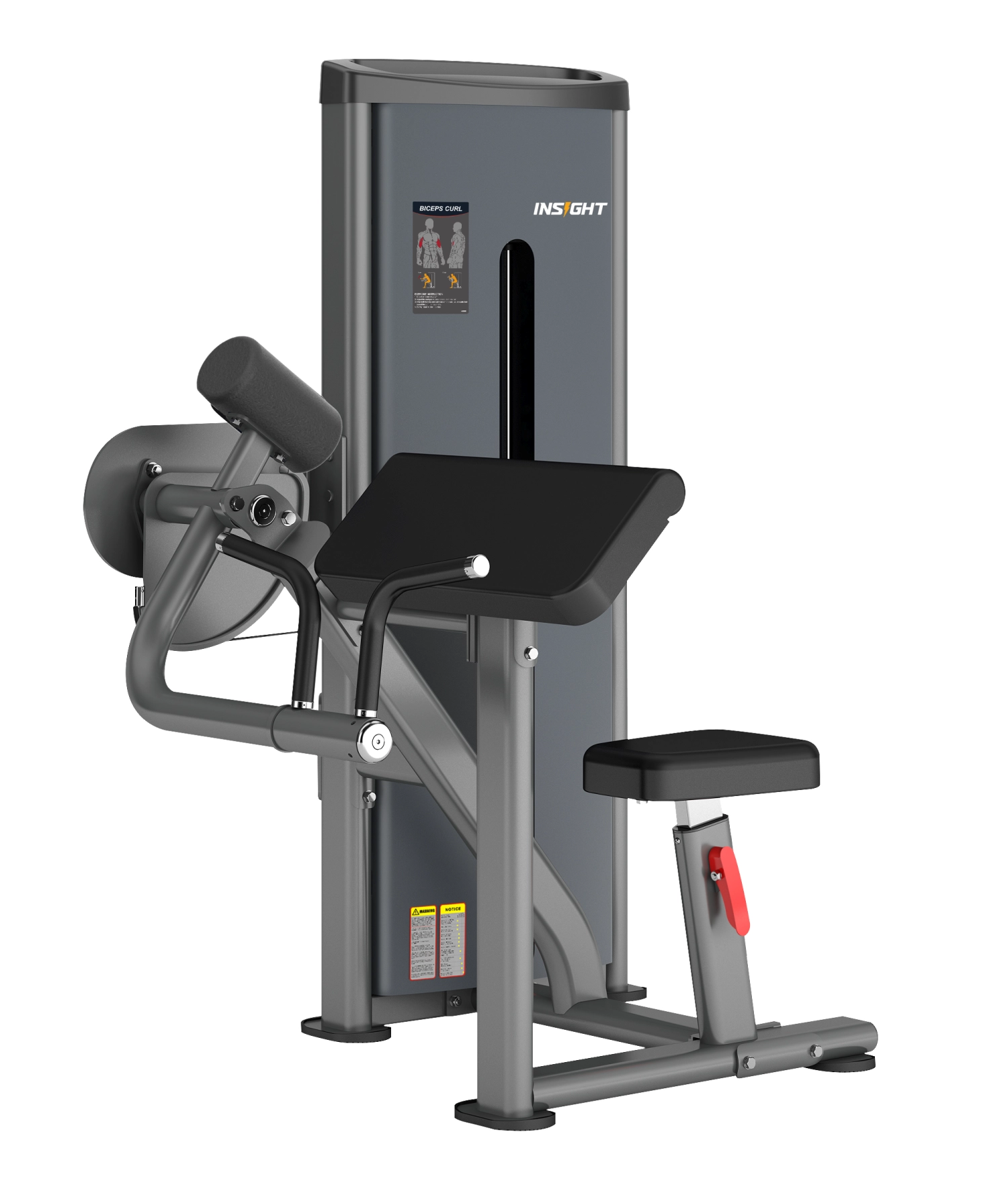 Biceps Curl DA006 Insight
