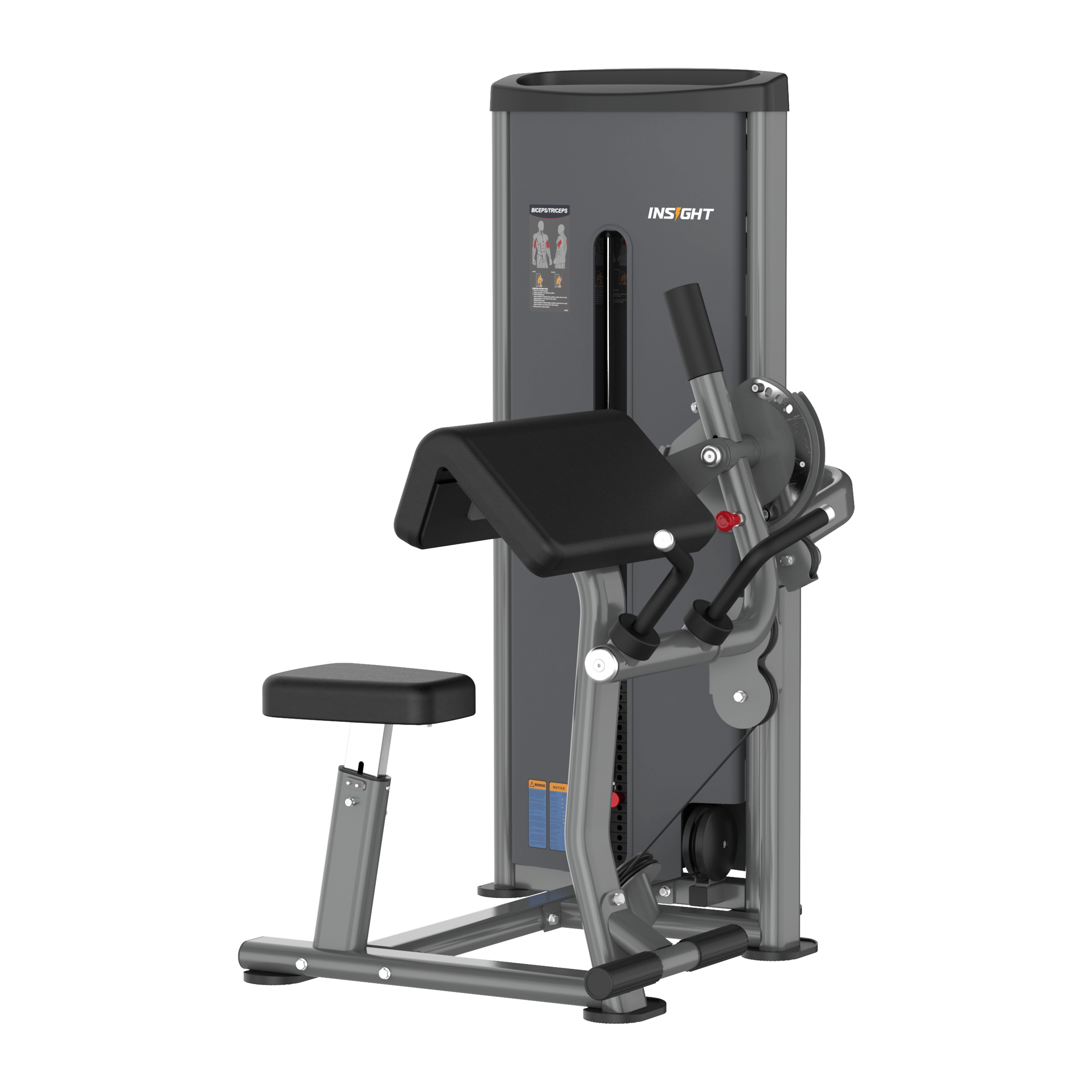 Biceps Triceps DA044 Insight