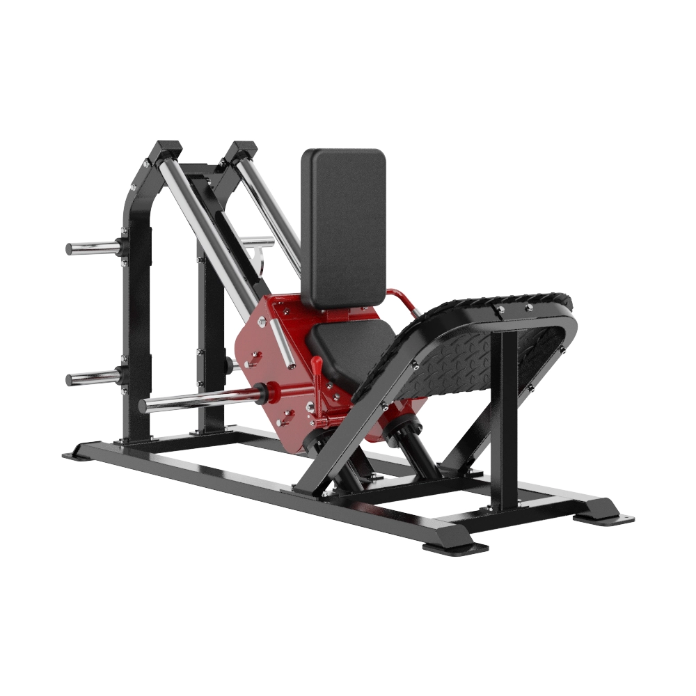 Calf DH009 Insight