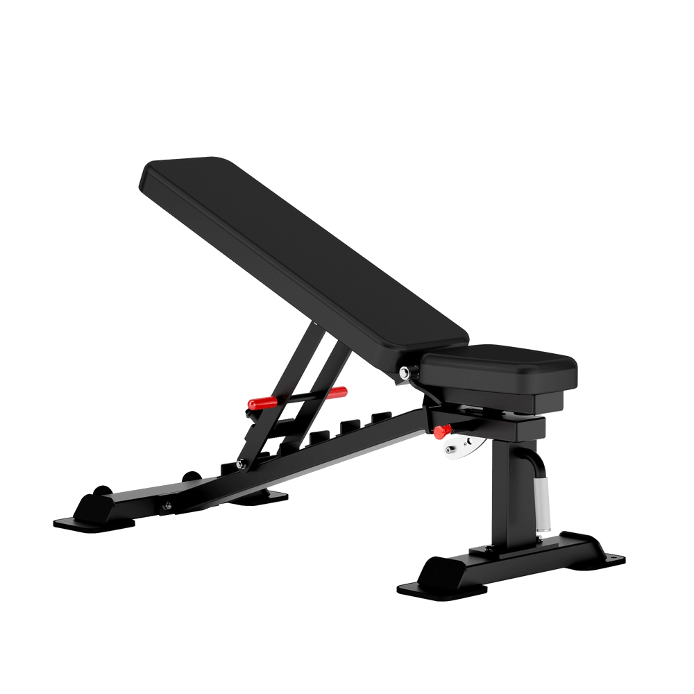Fid Bench DH012 Insight
