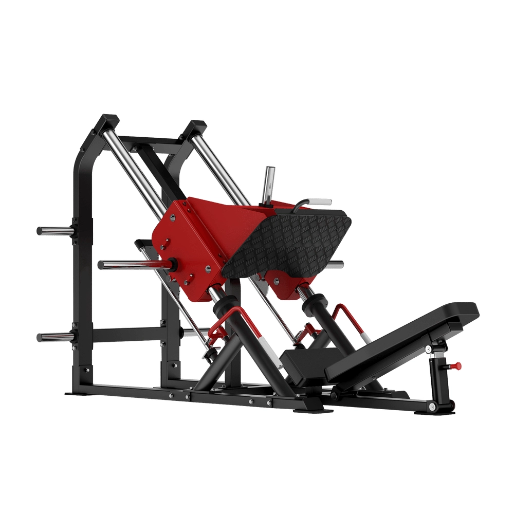 Linear Leg Press DH014 Insight