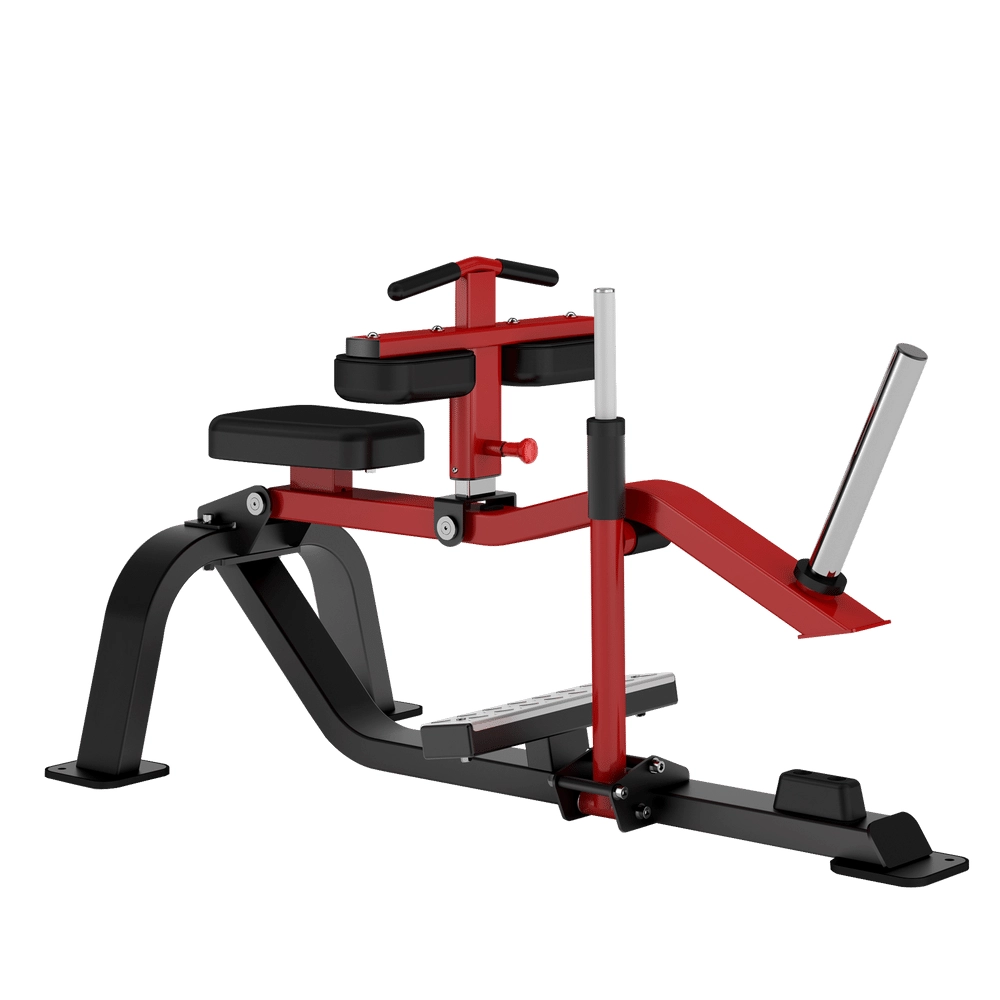 Seated Calf Raise DH015 Insight