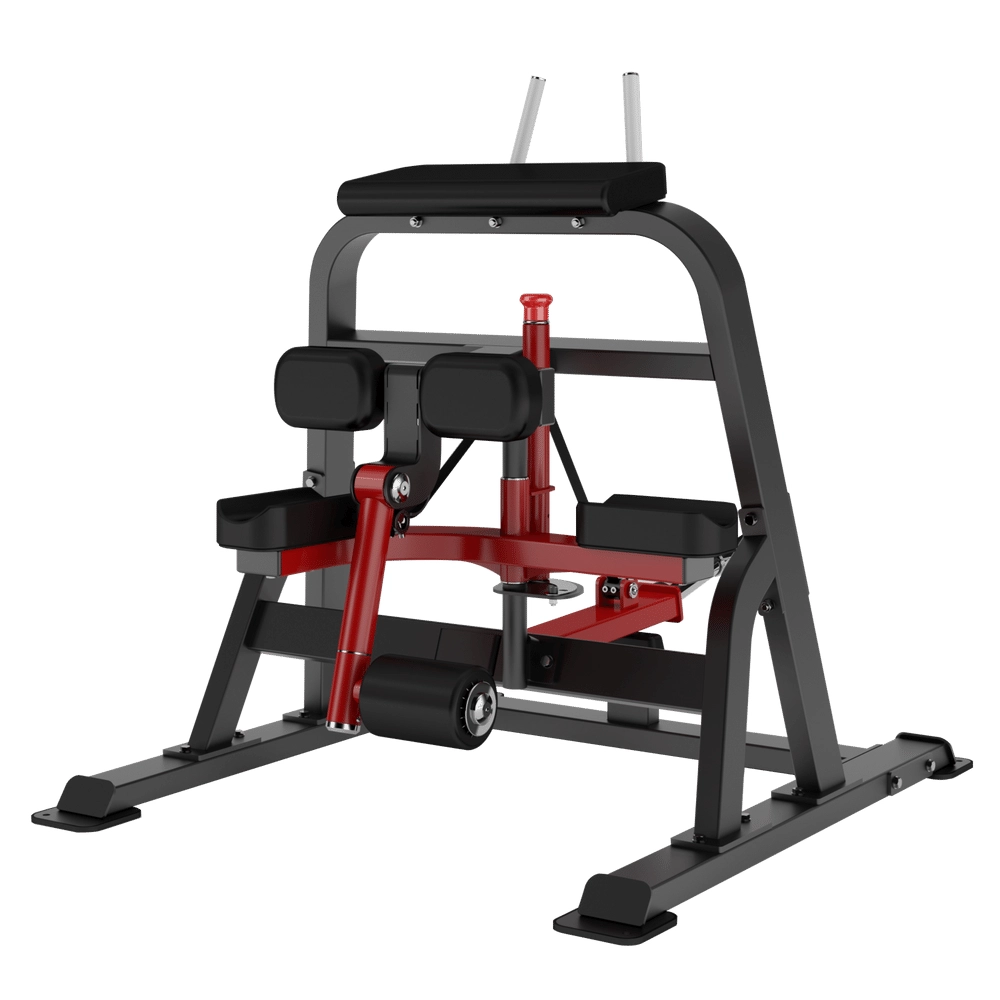 Standing Leg Curl DH018 Insight