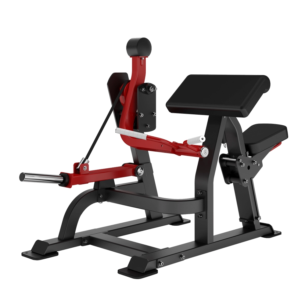 Biceps Curl DH021 Insight