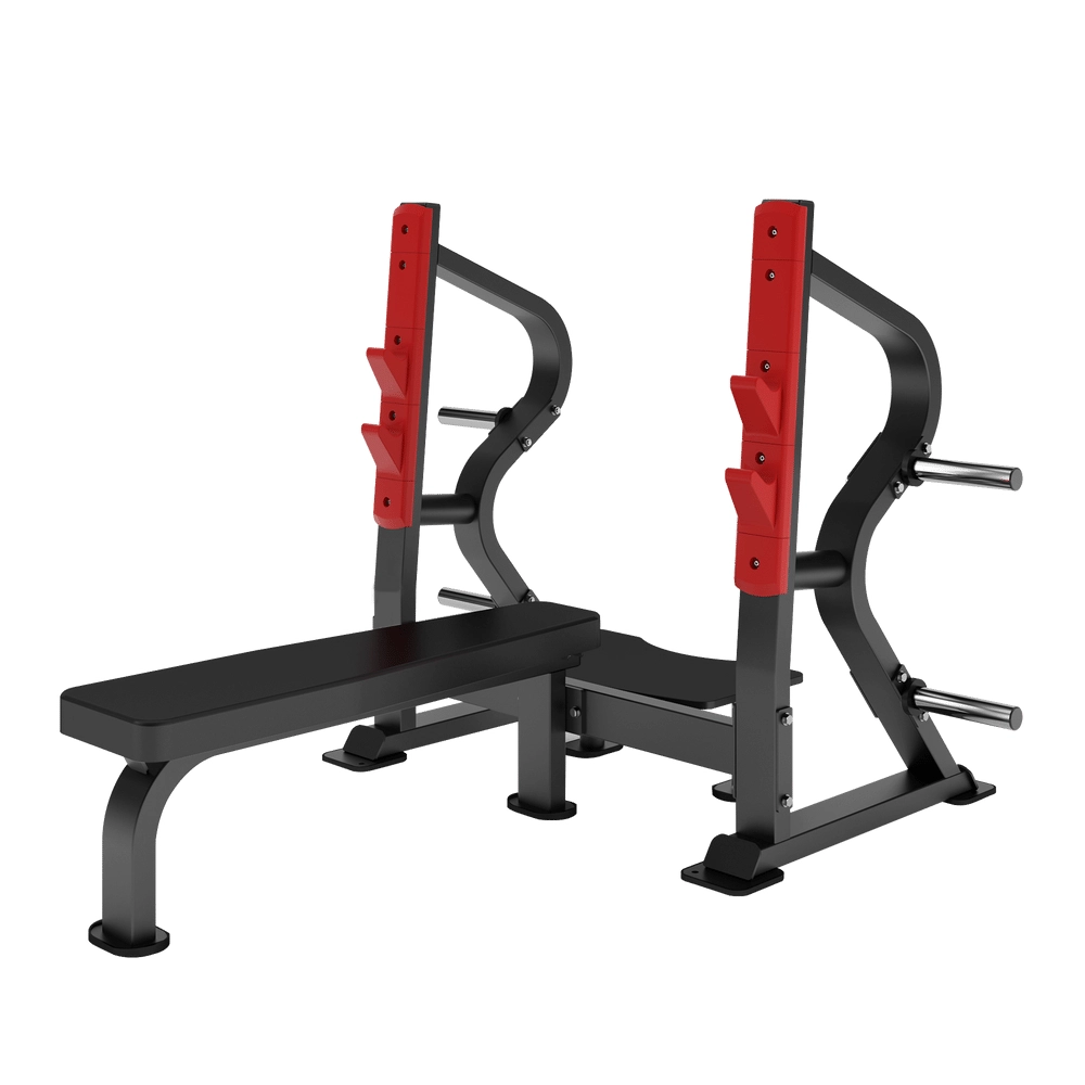 Flat Press Bench DH026 Insight