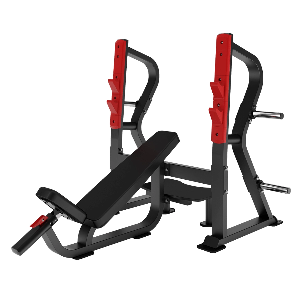 Incline Press Bench DH027 Insight