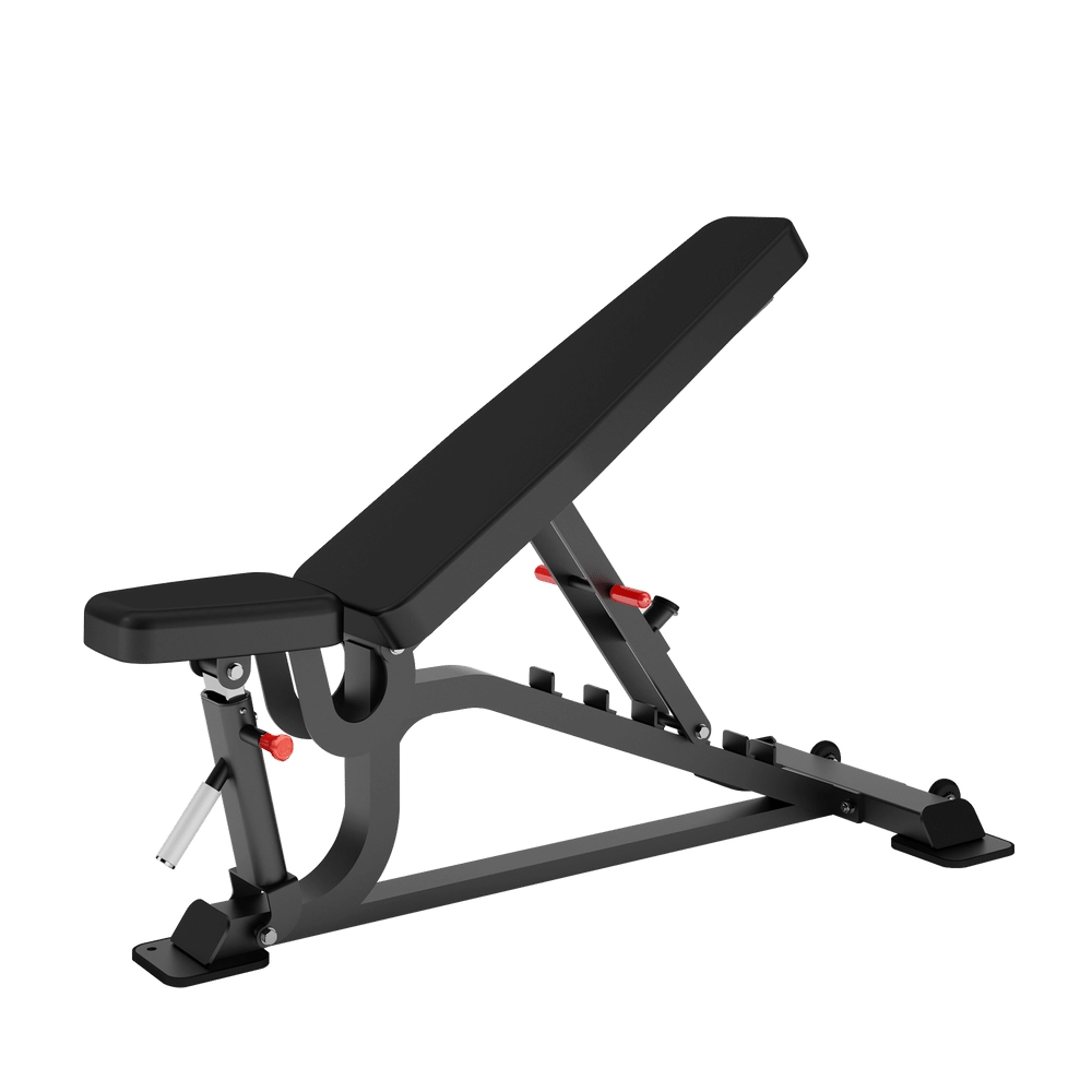 Fid Bench DH029 Insight
