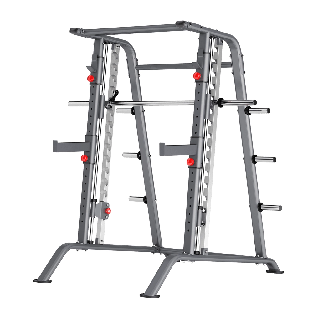 Smith Machine DR001 Insight