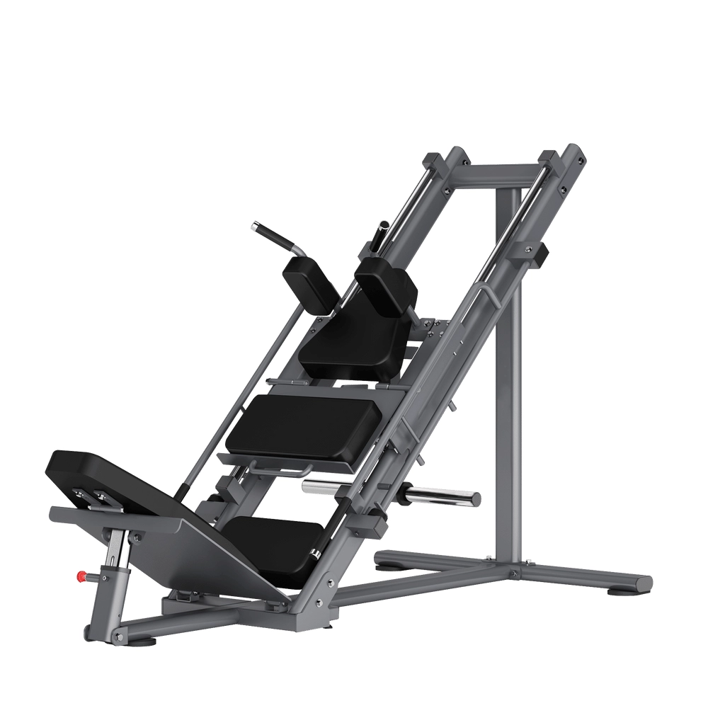 Leg Press Hack Squat DR003 Insight