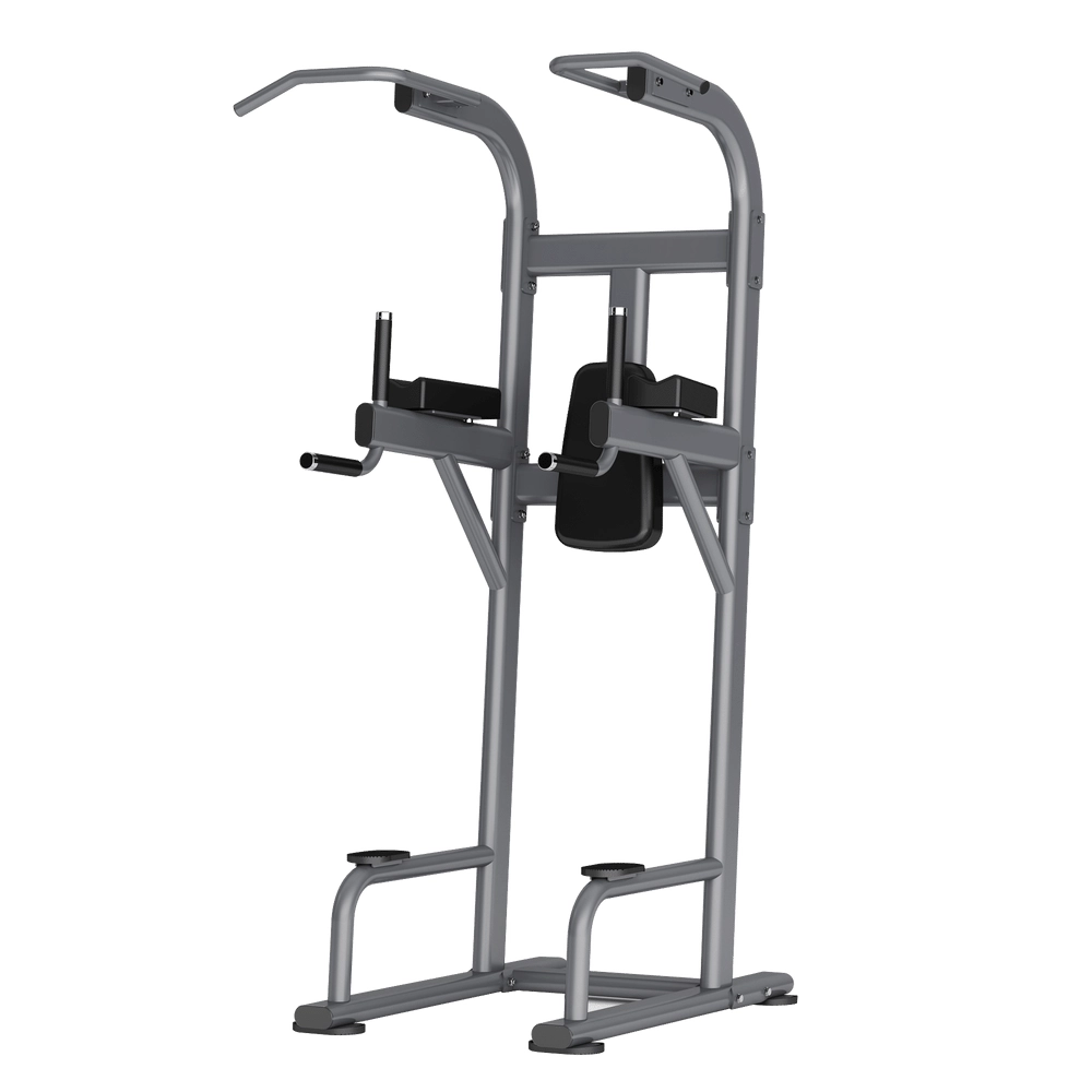 Vertical Knee Raise Dip DR008 Insight