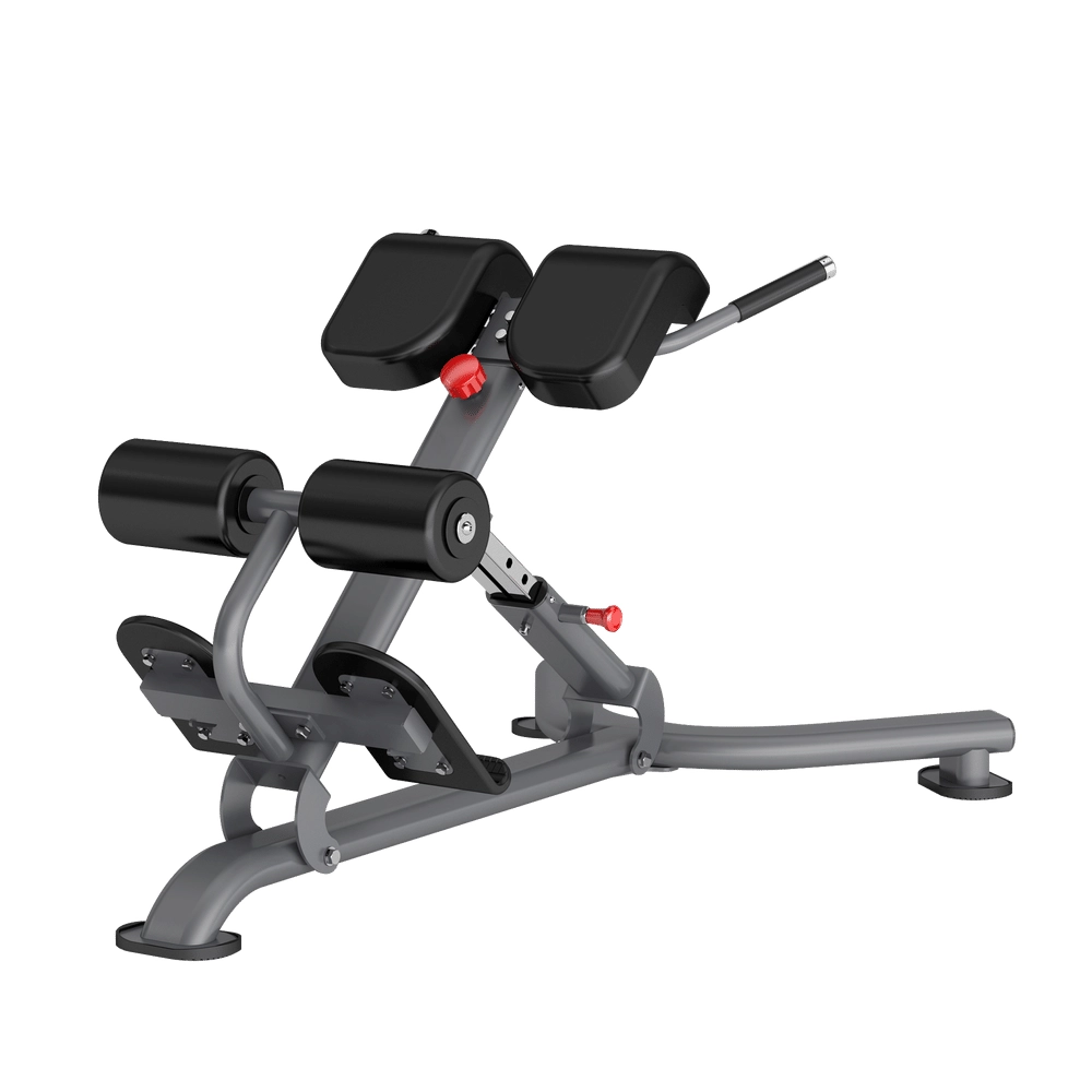 Back Extension DR010 Insight