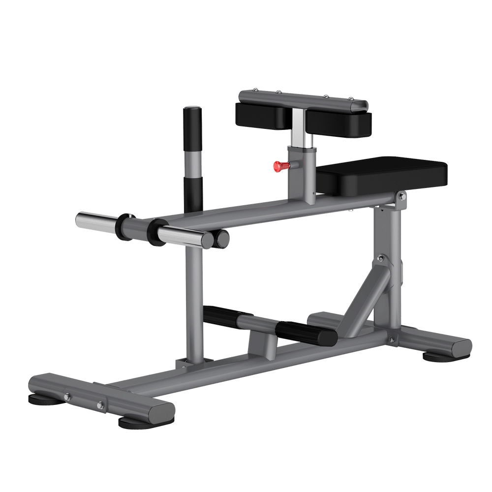 Seated Calf Raise DR011 Insight