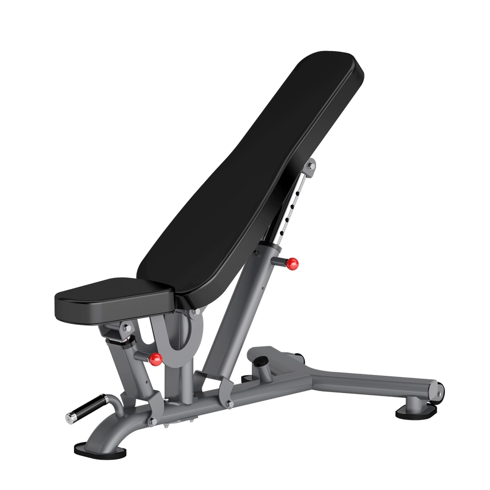 Multi Adjustable Bench DR016 Insight