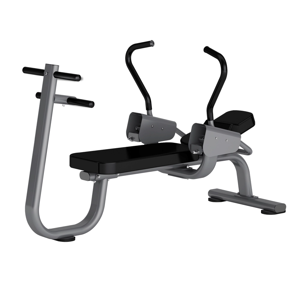Ab Crunch DR019 Insight