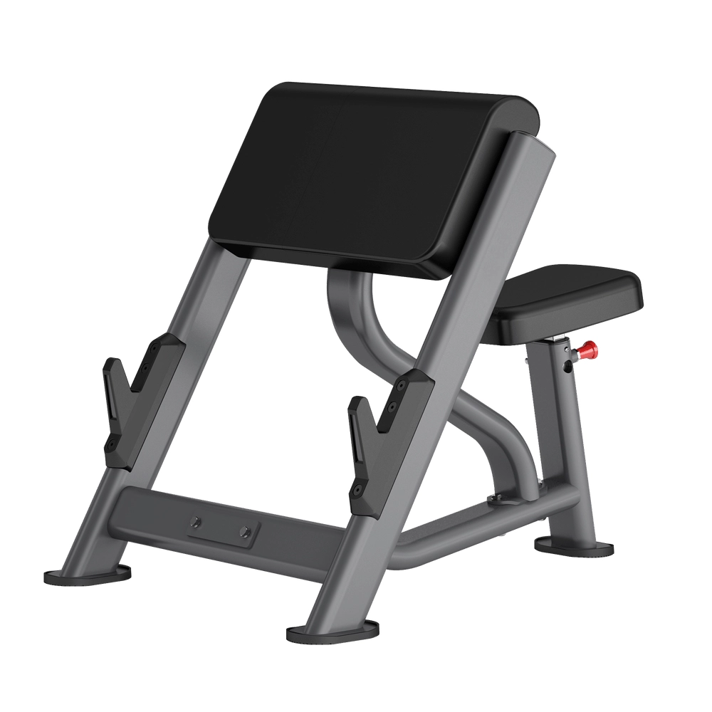 Preacher Curl DR020 Insight