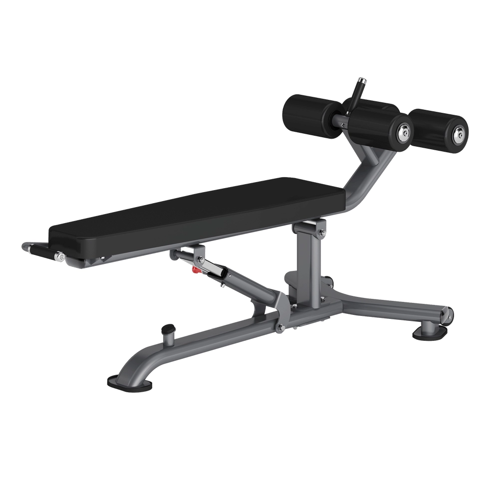 Decline Adjustable Bench DR025 Insight