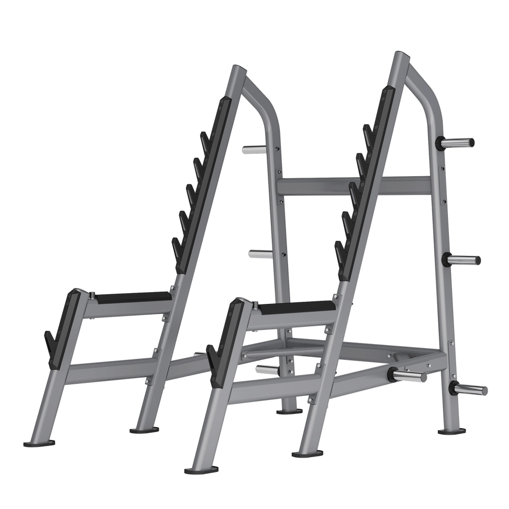 Squat Rack DR028 Insight