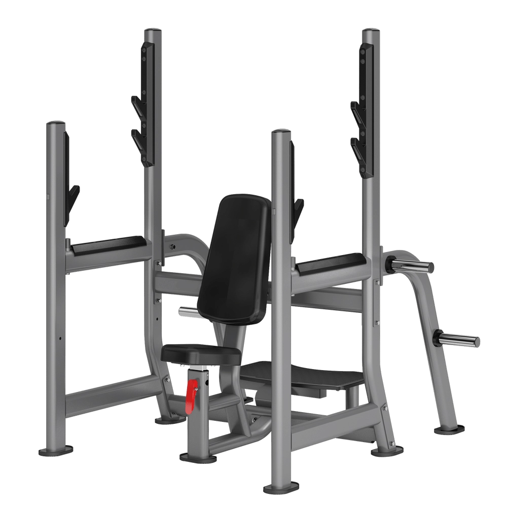 Shoulder Press DR029 Insight