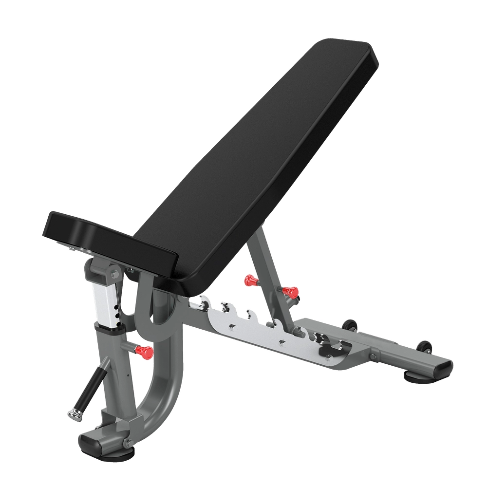 Fid Bench DR034 Insight