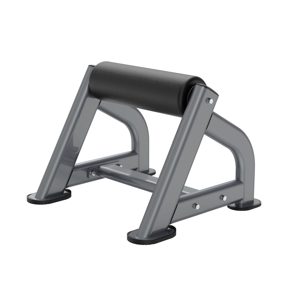 Bulgarian Squat Squat DR040 Insight