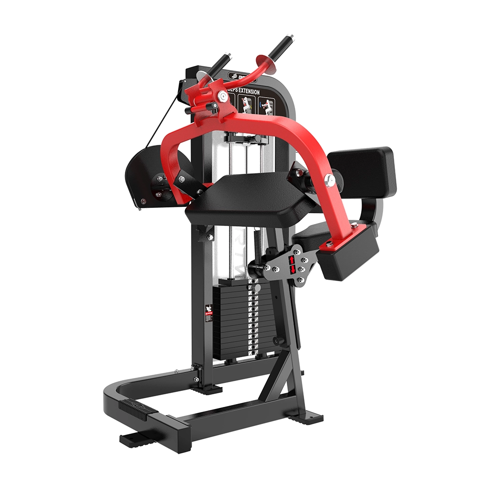 Triceps Curl HS10 Brtw