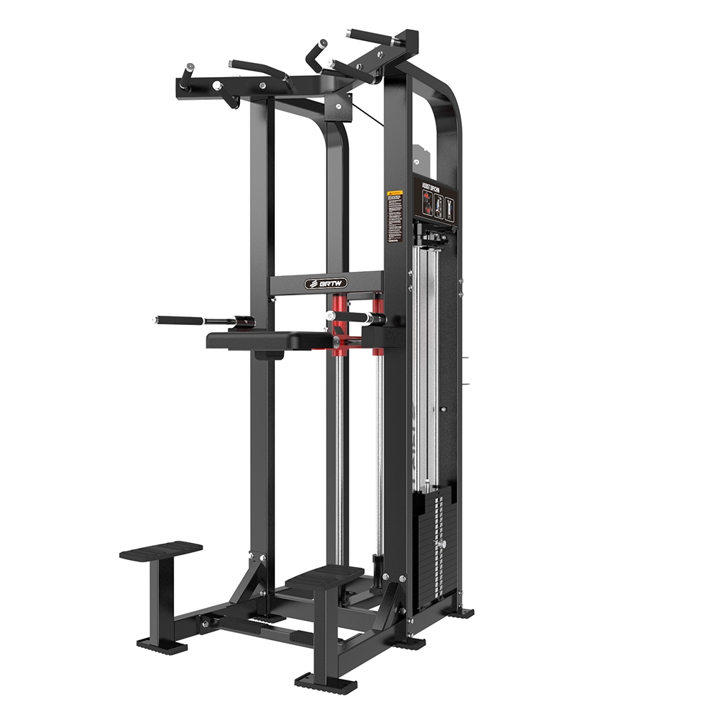 Dip Chin Assisted HS11 Brtw