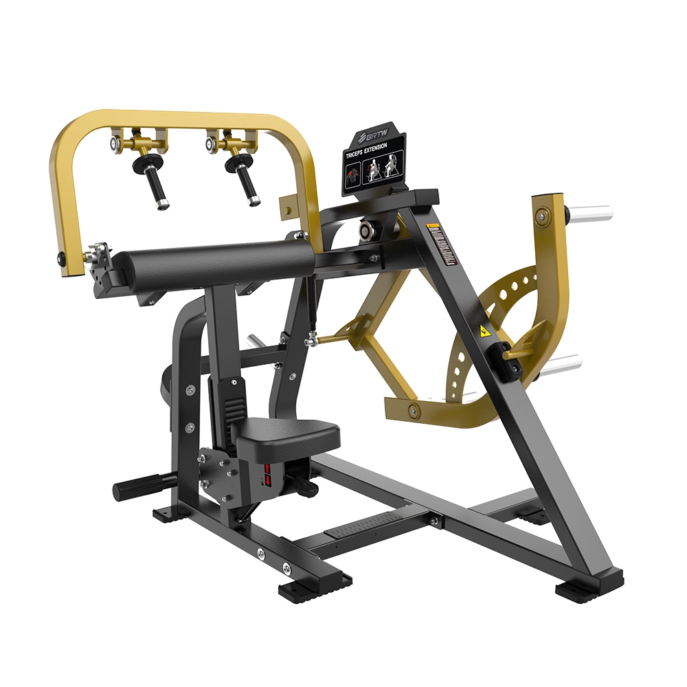 Triceps Extension PL06 Brtw