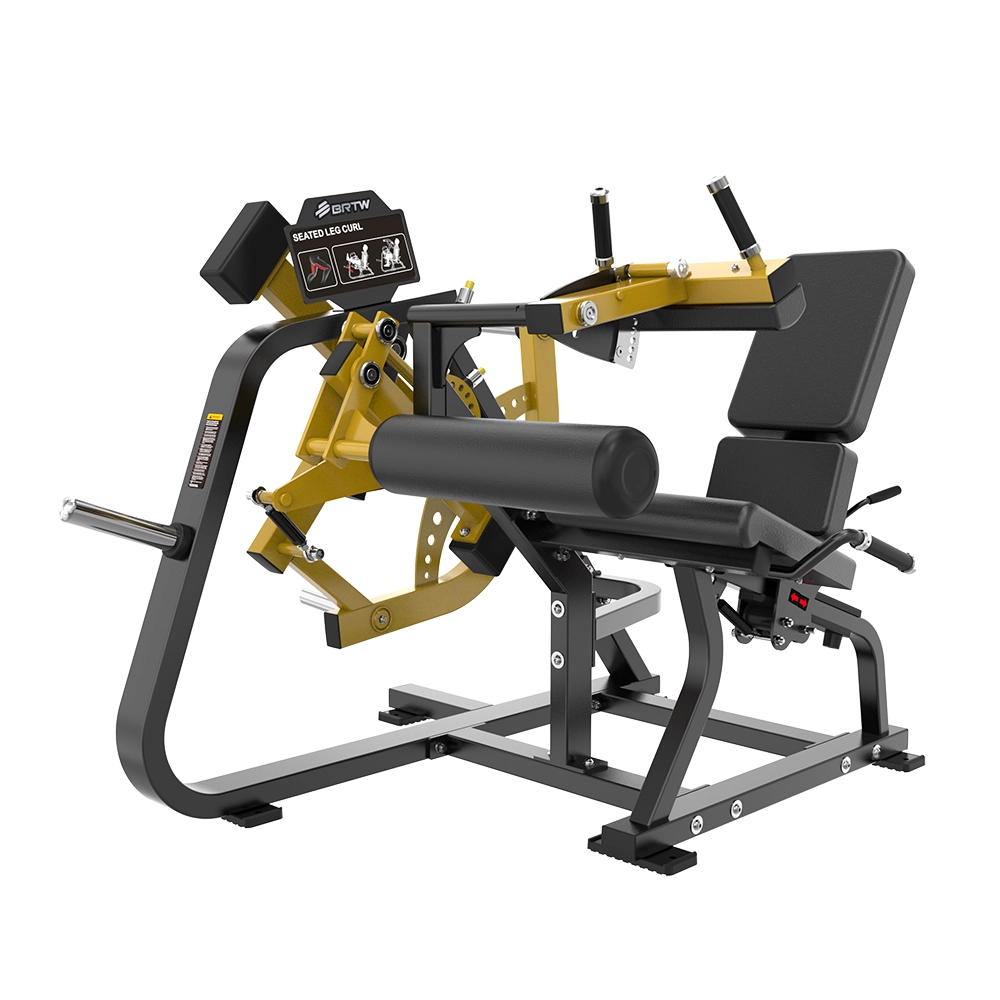 Seated Leg Curl PL10 Brtw