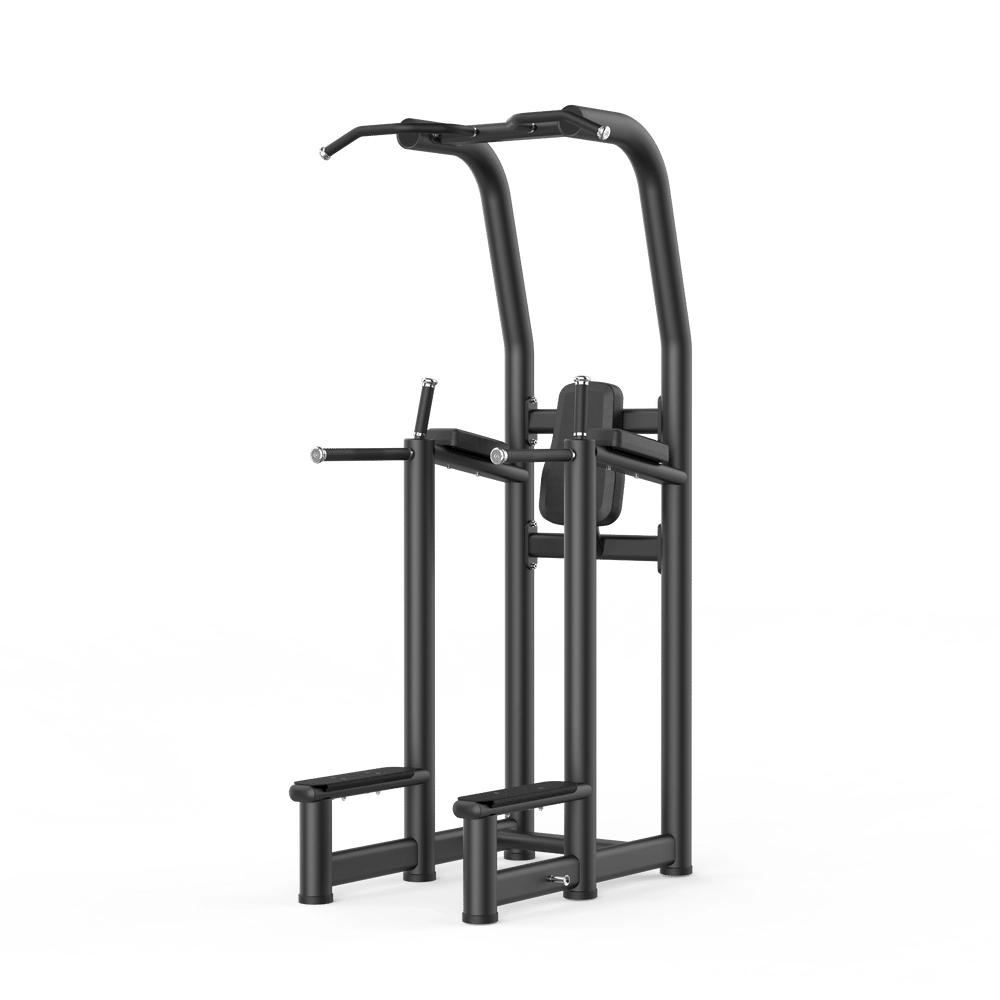 Vertical Knee Raise Up RE6008 Insight