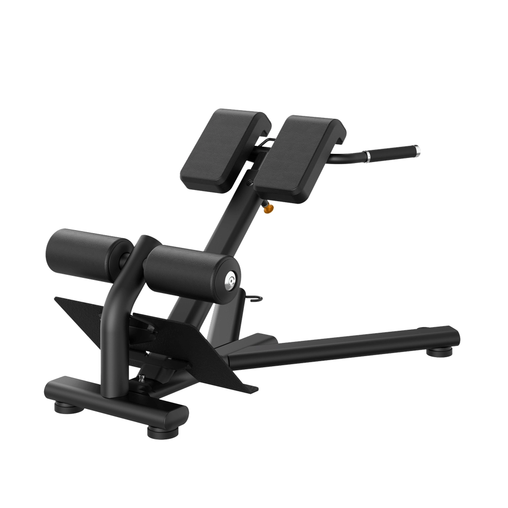 Back Extension RE6010 Insight