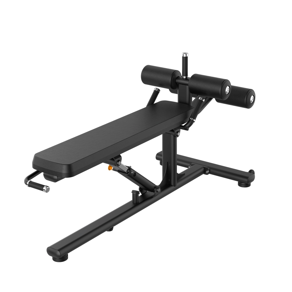 Multi Ab Bench RE6025 Insight
