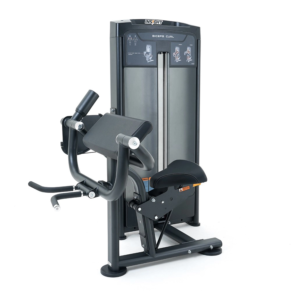 Biceps Curl RE8006 Insight