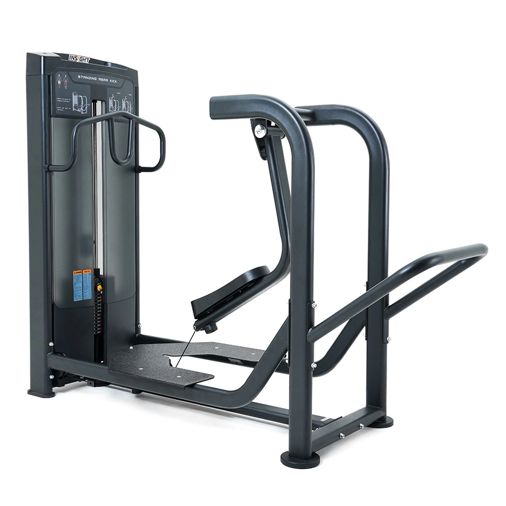 Standing Rear Kick RE8032 Insight