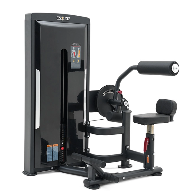 Abdominal Back Extension SA009 Insight
