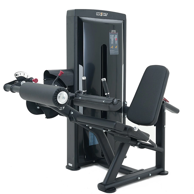 Seated Leg Curl SA013 Insight