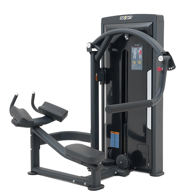 Glute SA032 Insight