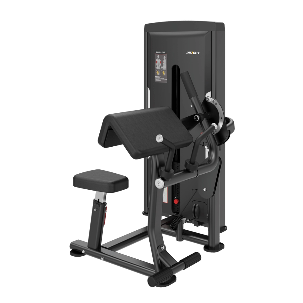 Biceps Triceps SA044 Insight