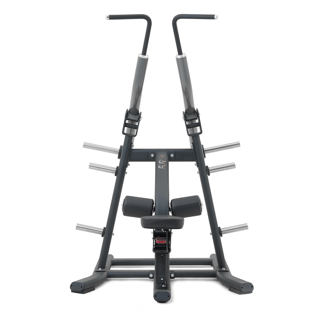 Lat Pull Down SH006 Insight