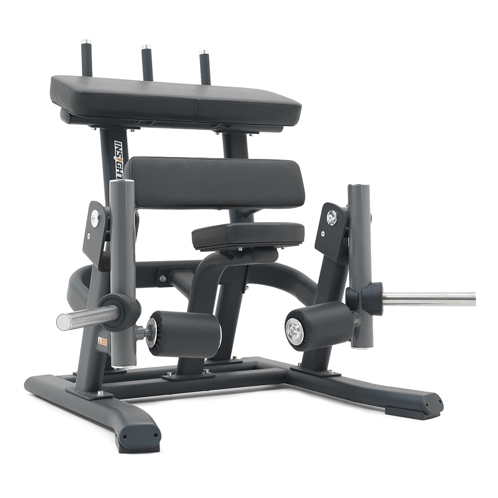 Standing Leg Curl SH014 Insight