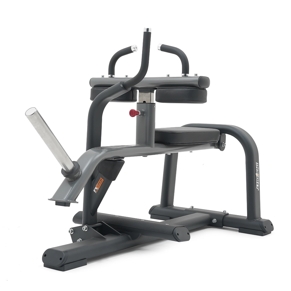Seated Calf Raise SH015 Insight