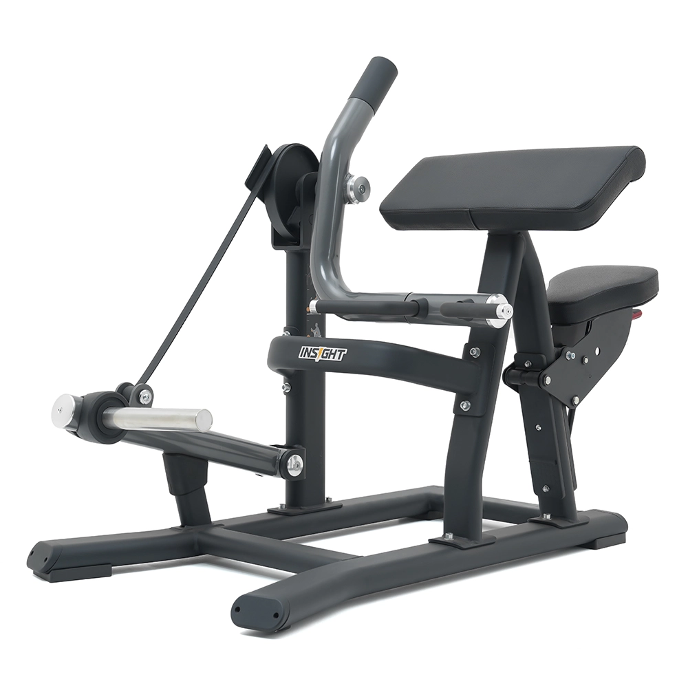 Biceps Curl SH018 Insight