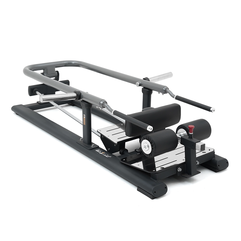 Lunge SH023 Insight