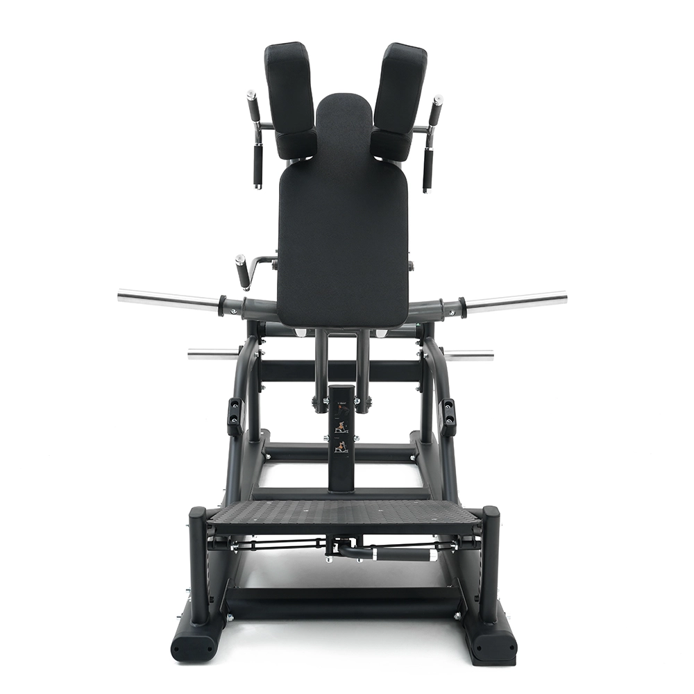 V Squat SH038 Insight